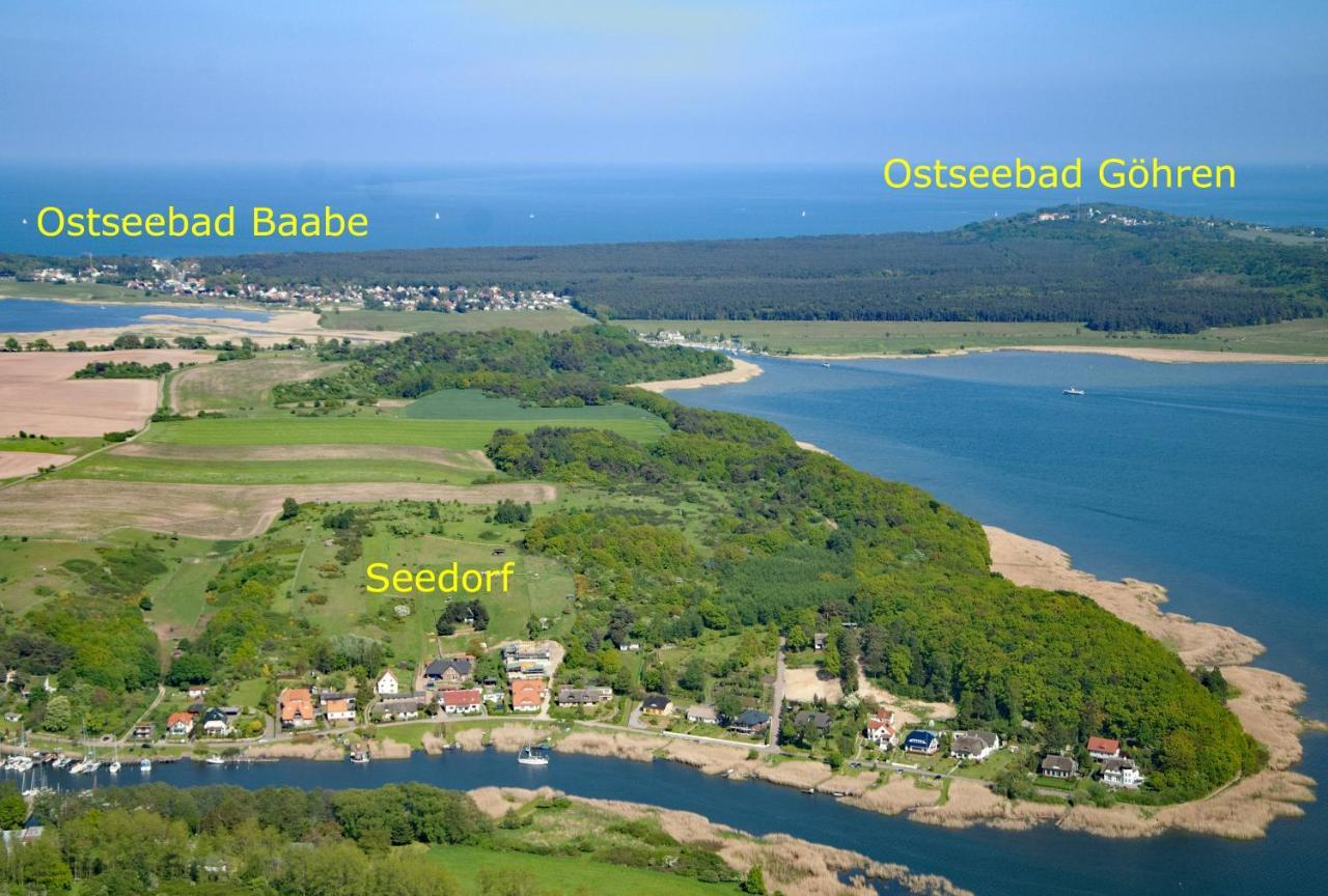 Ostseebad Sellin - Ot Seedorf Mit Seeblick Apartment Seedorf (Rugen)