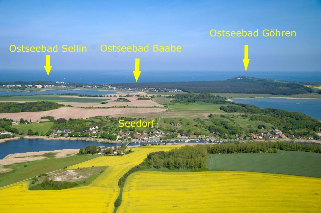 Ostseebad Sellin - Ot Seedorf Mit Seeblick Appartement *
